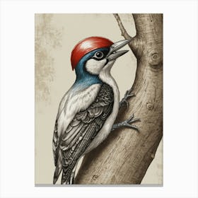 Woodpecker Canvas Print