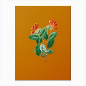 Vintage North West Honeysuckle Flower Botanical on Sunset Orange n.0002 Canvas Print