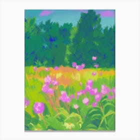 Field Of Flowers Garden Illustration Canvas Print