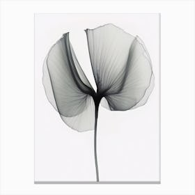 X Ray Flower 3 Canvas Print