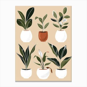 Houseplants In Pots 1 Canvas Print