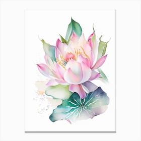 Lotus Flower Bouquet Watercolour 1 Canvas Print