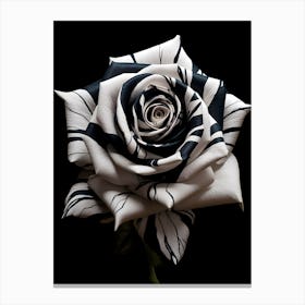 Black And White Rose 4 Canvas Print