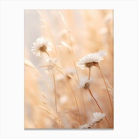 Boho Dried Flowers Daisy 2 Canvas Print