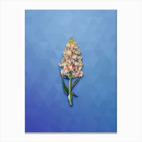 Vintage Leafy Spiked Orchis Botanical Art on Blue Perennial n.1622 Canvas Print