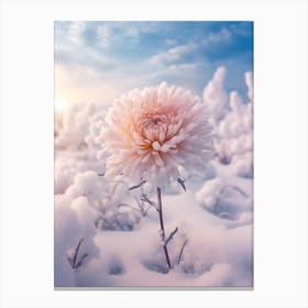 Beautiful Winter Flowers 34 Canvas Print