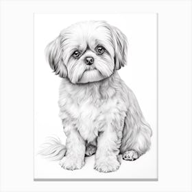 Shiba Tzu Dog, Line Drawing 1 Canvas Print