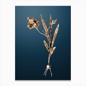 Gold Botanical Ixia Miniata on Dusk Blue n.2736 Canvas Print