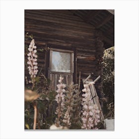 Flowers At Cabin Canvas Print