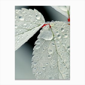 Raindrops On A Leaf Canvas Print