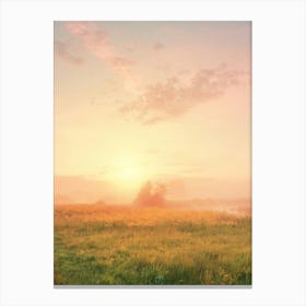 Sunrise In The Meadow Canvas Print
