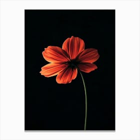 Cosmos 6 Canvas Print