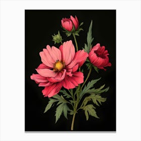 Cosmos Flower 4 Canvas Print