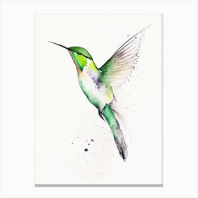 Booted Racket Tail Hummingbird Minimalist Watercolour Canvas Print