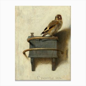 The Goldfinch 1654 Famous Antique Artwork by Carel Fabritius ~ In 1654, a gunpowder explosion in Delft killed Carel Fabritius and destroyed much of his work. Only a few paintings survived, including The Goldfinch, which has since become a celebrated masterpiece, adding to the mystique of his legacy, recently the movie "Goldfinch" was made about the journey of this painting. The painting is currently housed in the Mauritshuis museum in The Hague, Netherlands. Canvas Print