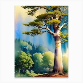 Tree In The Forest 18 Canvas Print