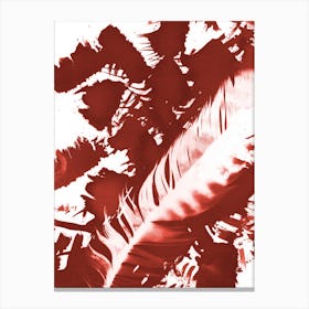 Red Feathers Canvas Print