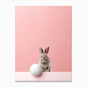 Easter Bunny With Egg On Pink Background Canvas Print