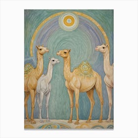 Camels Canvas Print