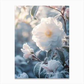 Frosty Botanical Camellia 1 Canvas Print