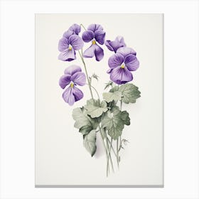 Violets Flower Vintage Botanical 3 Canvas Print