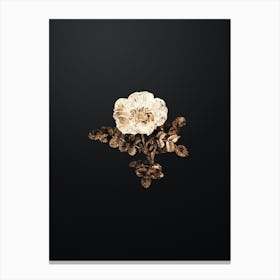 Gold Botanical White Burnet Rose on Wrought Iron Black n.3394 Canvas Print