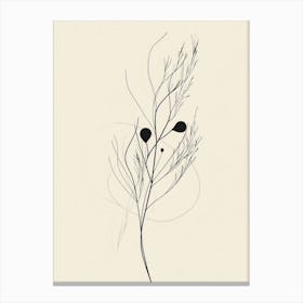 Black And White Drawing Of A Plant 1 Canvas Print