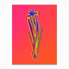 Neon Harlequin Blueflag Botanical in Hot Pink and Electric Blue n.0088 Canvas Print