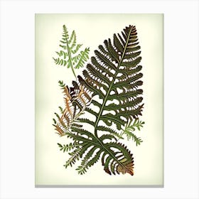 Rusty Back Fern 1 Vintage Botanical Poster Canvas Print