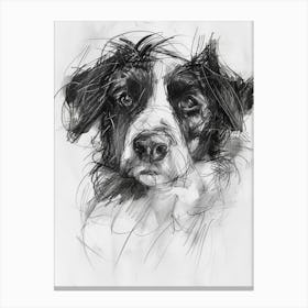 Nederlandse Kooikerhondje Dog Charcoal Line 2 Canvas Print