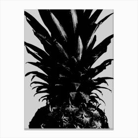 Black and White Graphic Pineapple_2156979 Canvas Print