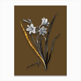 Vintage Daylily Black and White Gold Leaf Floral Art on Coffee Brown Canvas Print