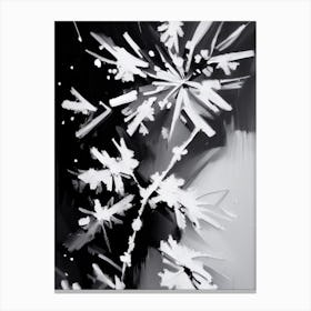 Fragile, Snowflakes, Black & White 1 Canvas Print