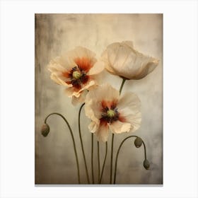 Poppies 27 Canvas Print