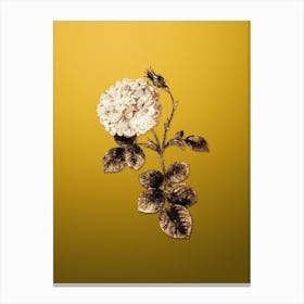Gold Botanical White Rose of York on Mango Yellow n.4830 Canvas Print