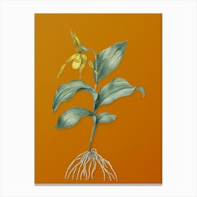 Vintage Yellow Lady's Slipper Orchid Botanical on Sunset Orange n.0071 Canvas Print