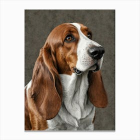 Basset Hound Canvas Print