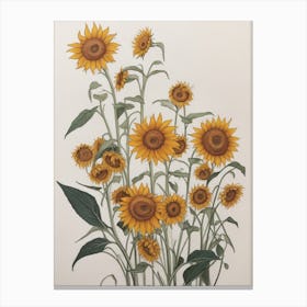 Beautiful Sunflowers Canvas Print