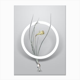 Vintage Daffodil Minimalist Flower Geometric Circle on Soft Gray Canvas Print