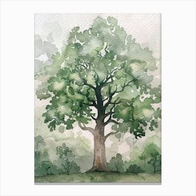 Oak Tree Atmospheric Watercolour Painting 4 Canvas Print