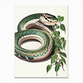 Wagler S Pit Viper Snake Vintage Canvas Print