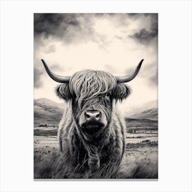 Stormy Black & White Illustration Of Highland Cow Canvas Print
