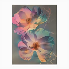 Iridescent Flower Cosmos 3 Canvas Print