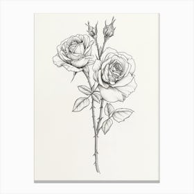English Rose Black And White Line Drawing 14 Canvas Print