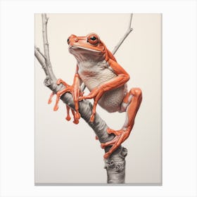 Red Tree Frog Realistic 1 Canvas Print