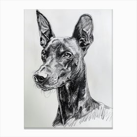 Pinscher Dog Line Sketch 2 Canvas Print