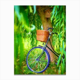 Bicycle Bird Box & Willow Tree Canvas Print