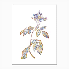 Stained Glass Big Leaved Climbing Rose Mosaic Botanical Illustration on White Canvas Print