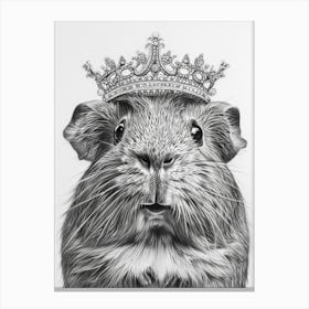 Guinea Pig 9 Canvas Print