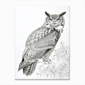 Philipine Eagle Owl Drawing 2 Canvas Print